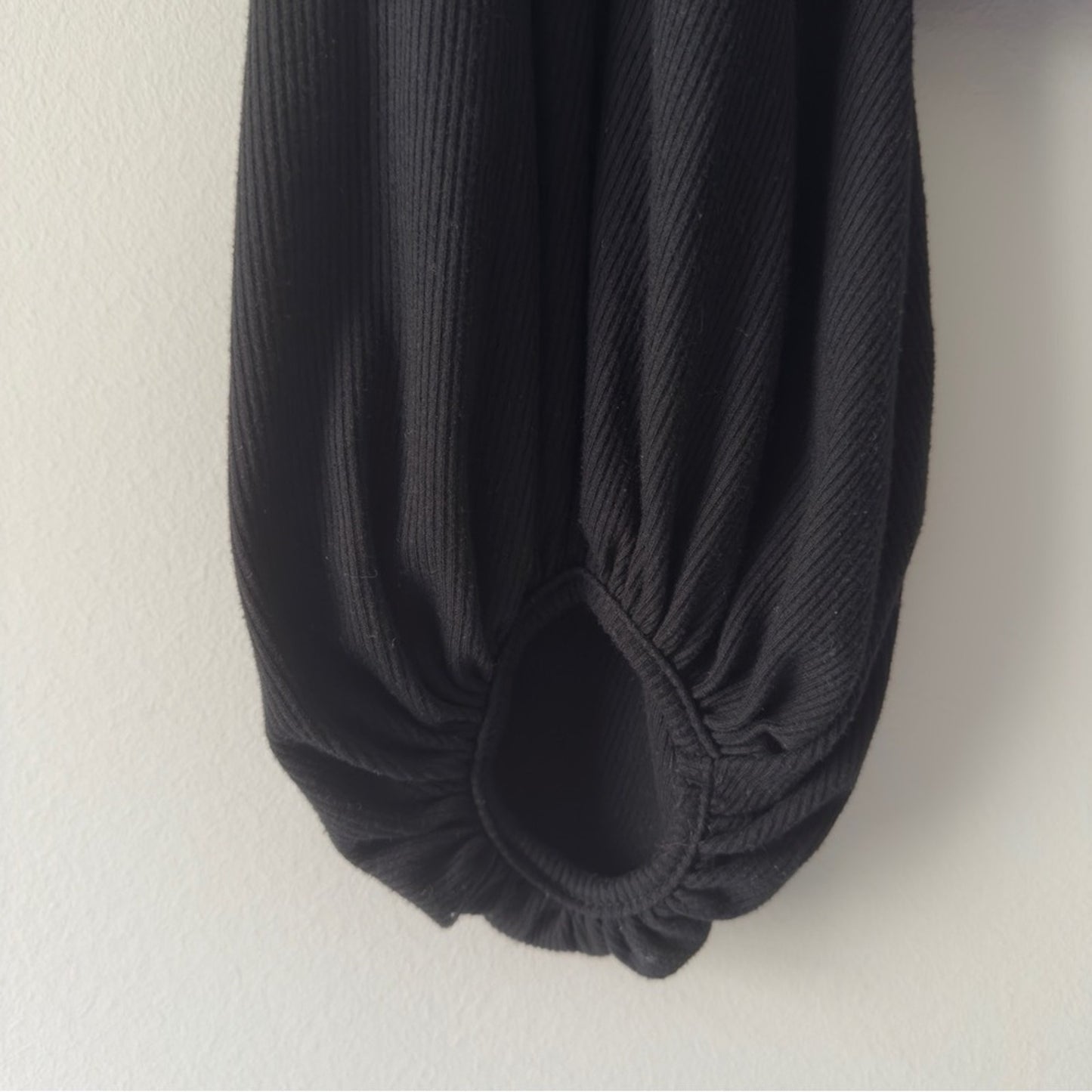 Balloon Sleeve Turtleneck Black Crop Top Long Sleeve Solid Ribbed Casual Minimal