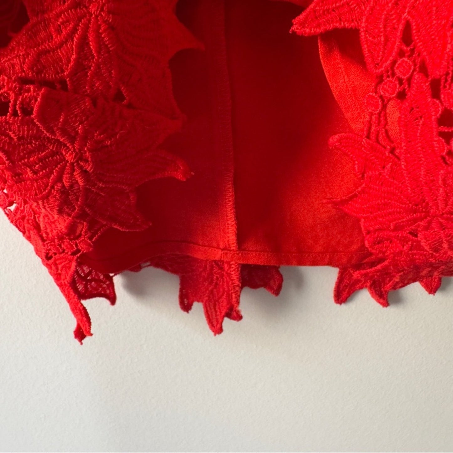 Revolve ASTR the Label Scarlet Lace Dress Off the Shoulder floral lined mini EUC