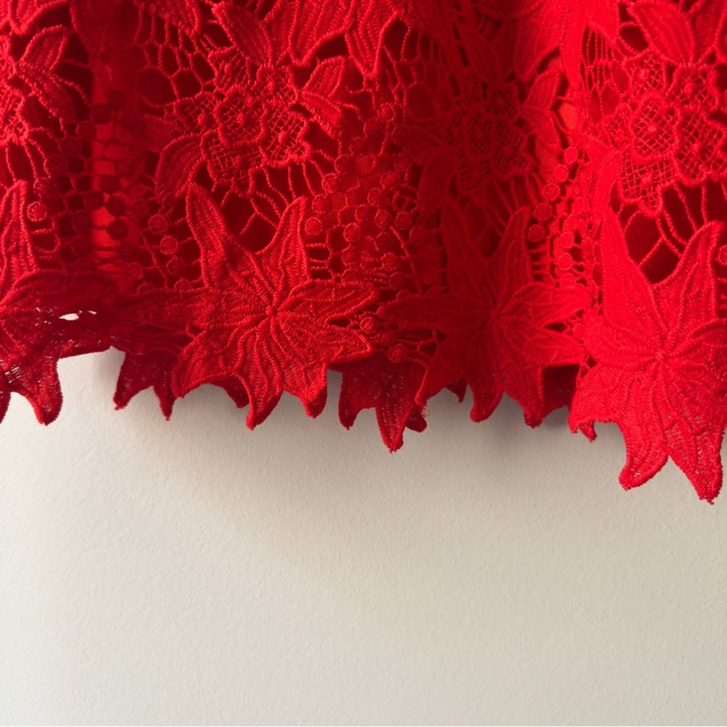 Revolve ASTR the Label Scarlet Lace Dress Off the Shoulder floral lined mini EUC