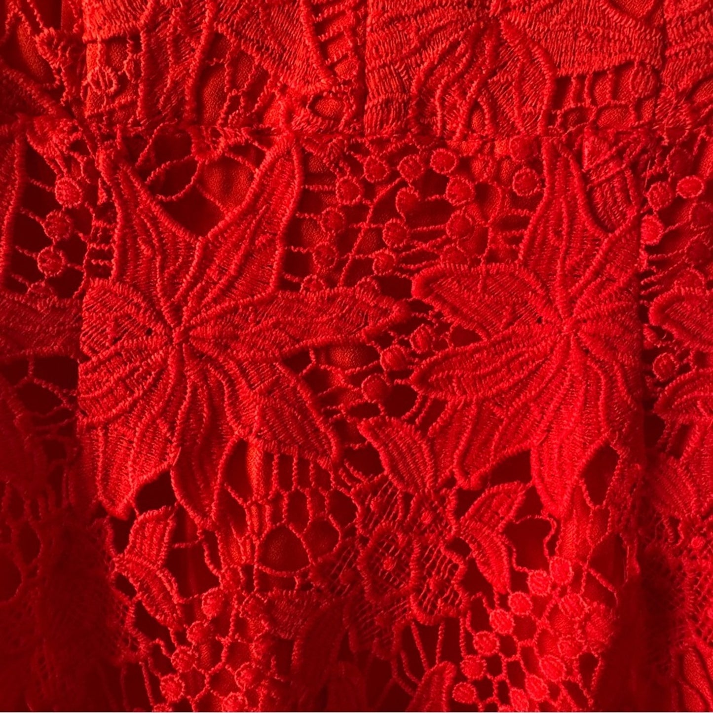 Revolve ASTR the Label Scarlet Lace Dress Off the Shoulder floral lined mini EUC