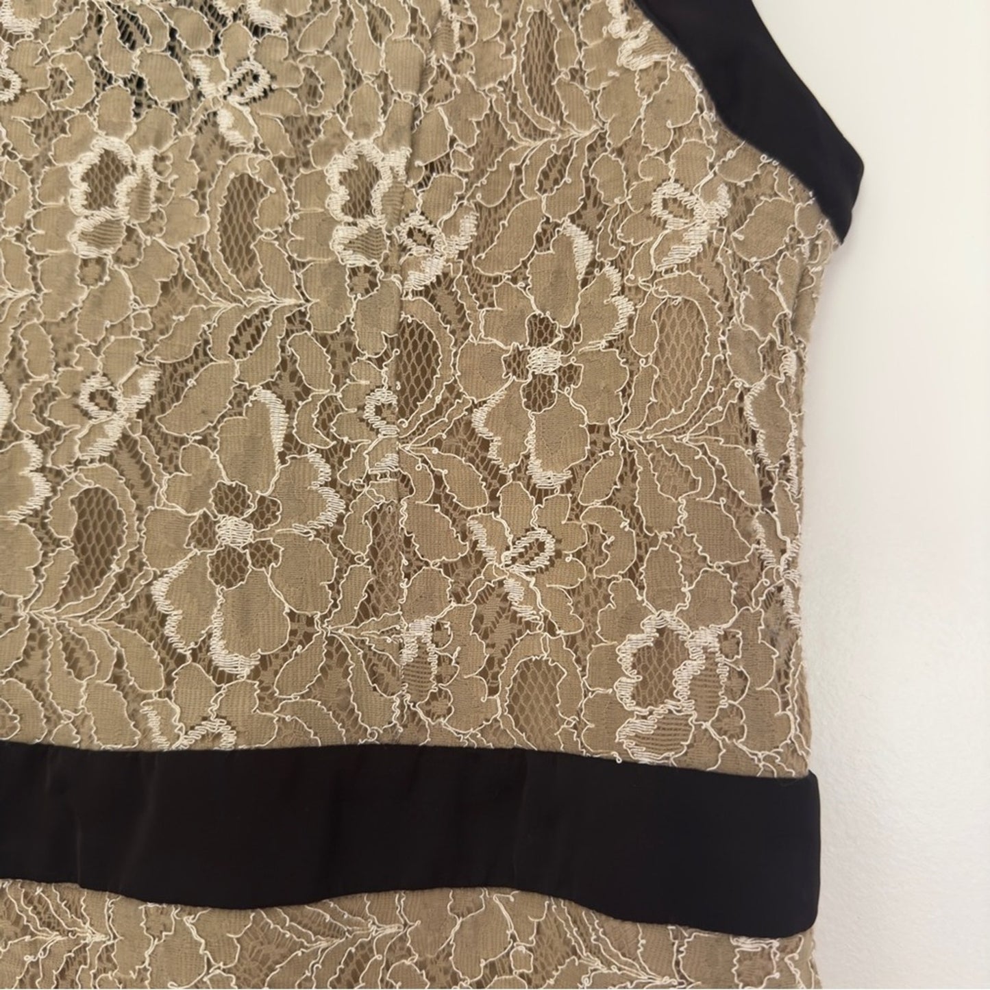 Max and Cleo Lace Mini Dress Sleeveless Tan Black Contrast Lined Zip Up Zipper 8