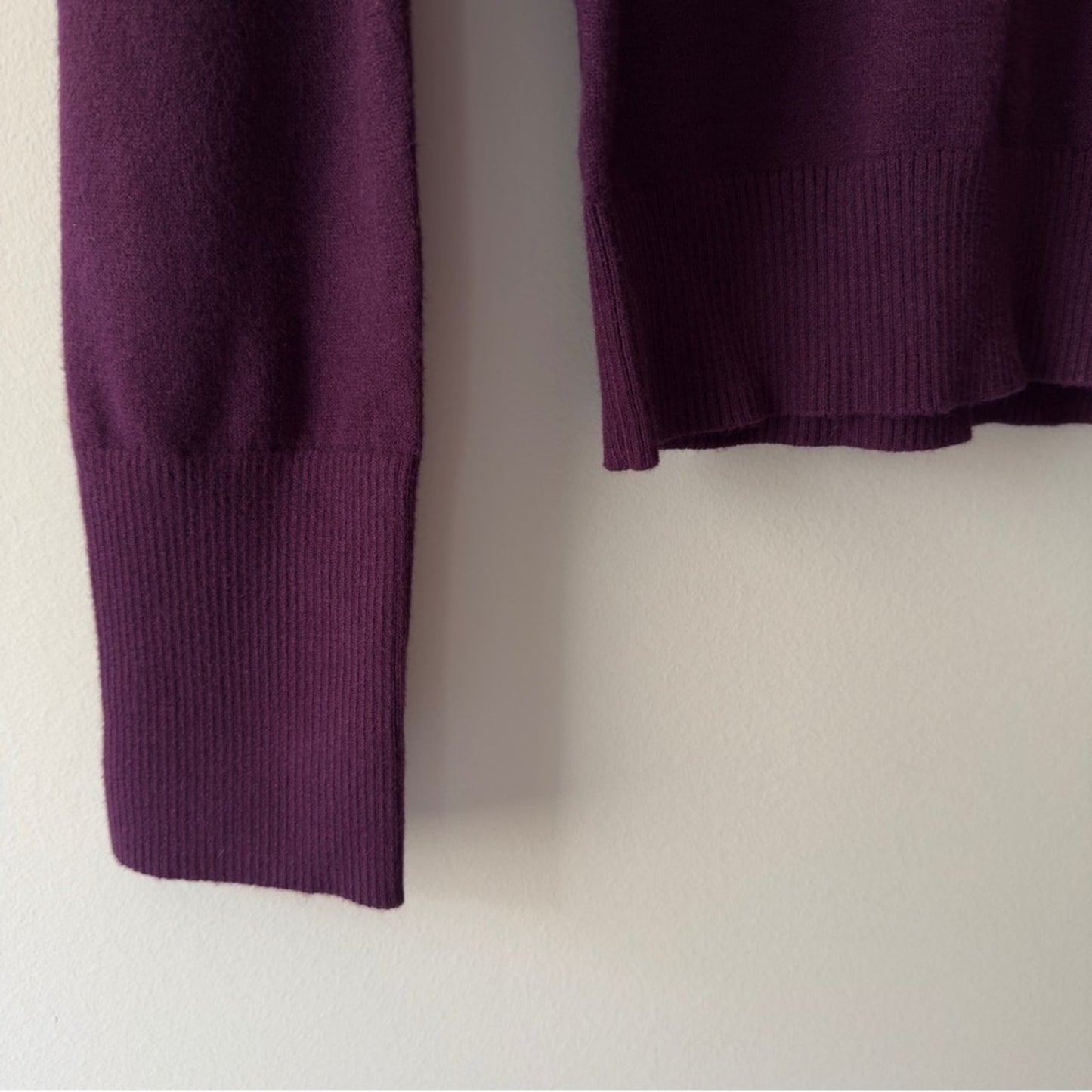 Express Deep Purple Turtleneck Sweater Long Sleeve Tight Knit Soft Solid Autumn
