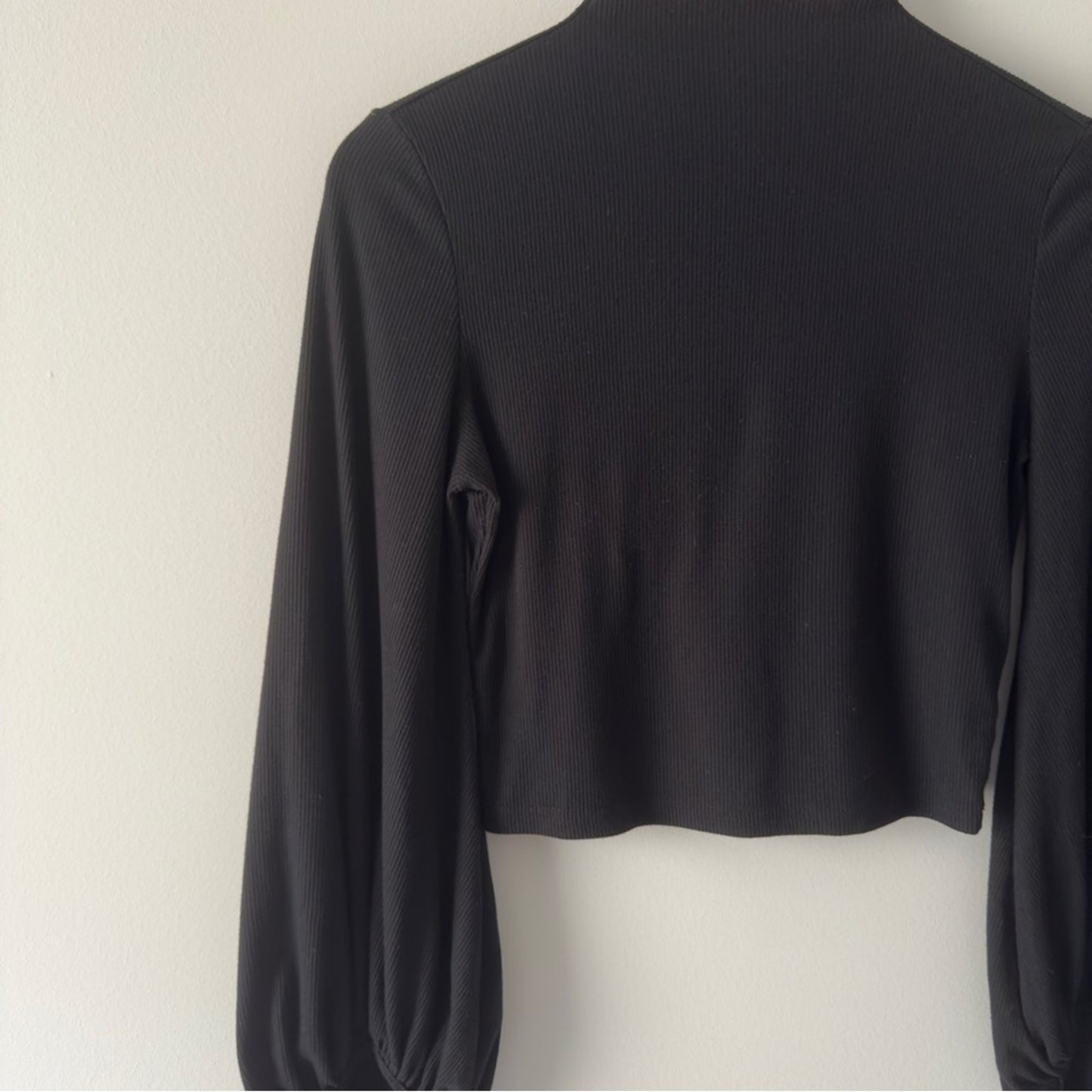 Balloon Sleeve Turtleneck Black Crop Top Long Sleeve Solid Ribbed Casual Minimal