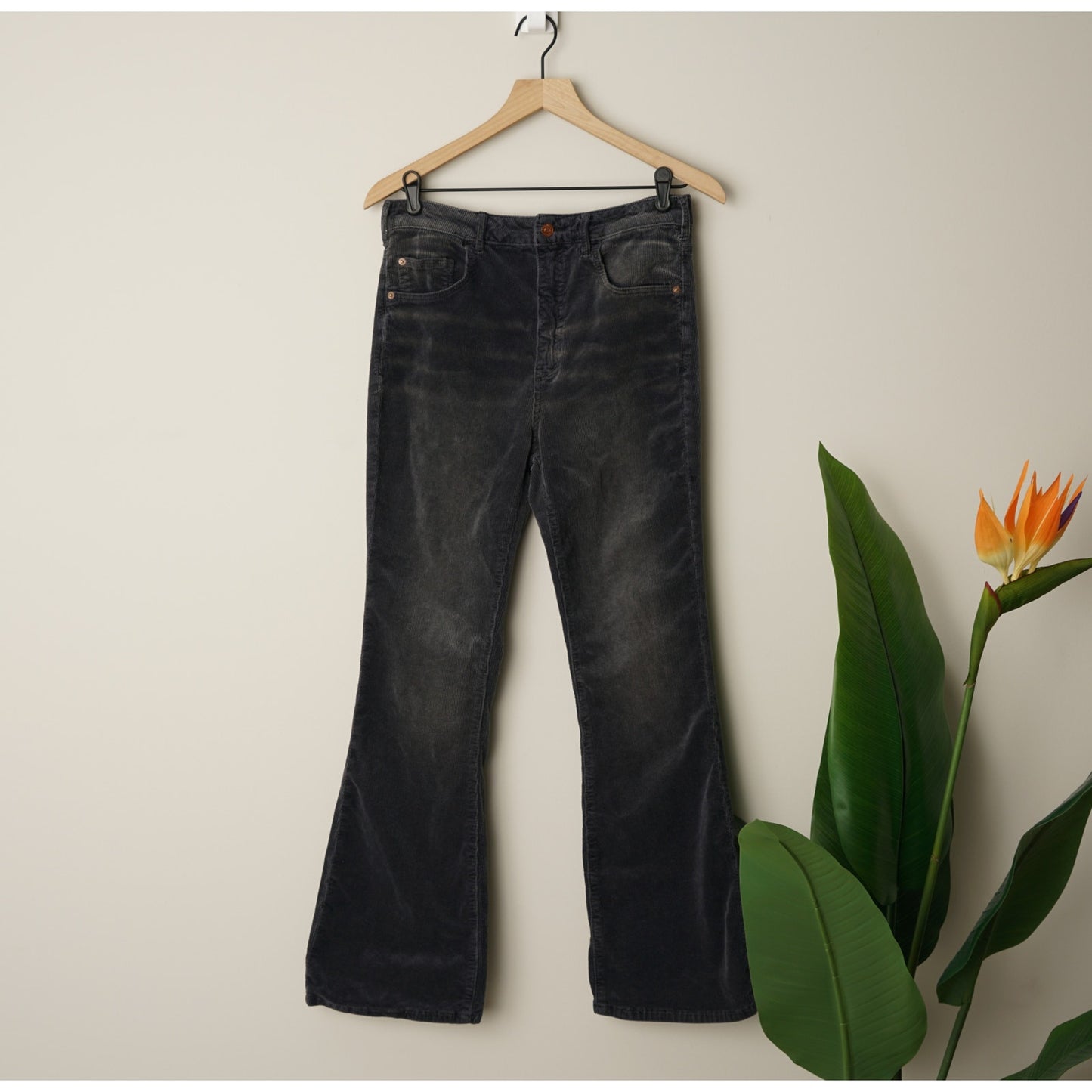 Anthropologie Pilcro and the Letterpress The Icon Corduroy Flare Pants Jeans EUC