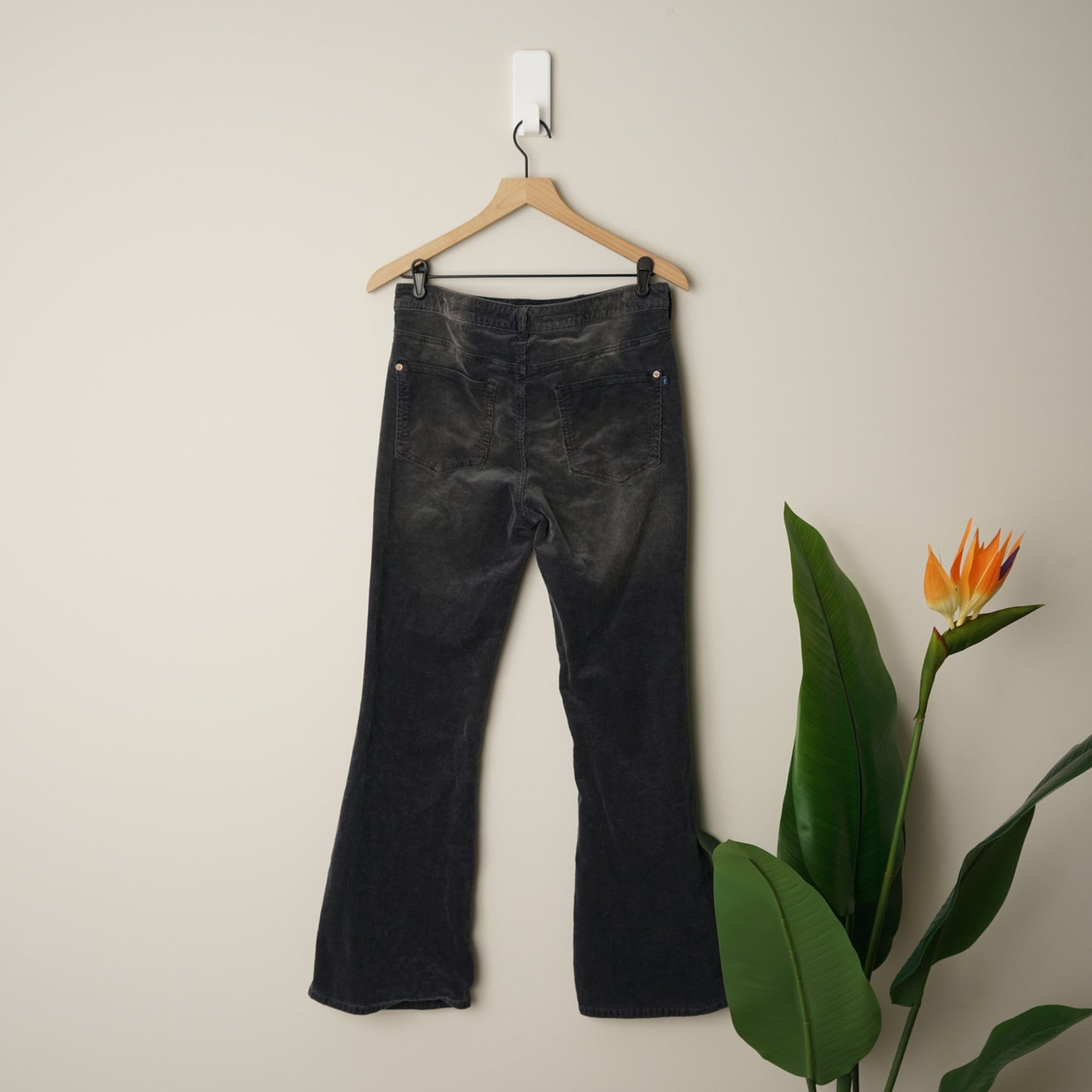 Anthropologie Pilcro and the Letterpress The Icon Corduroy Flare Pants Jeans EUC