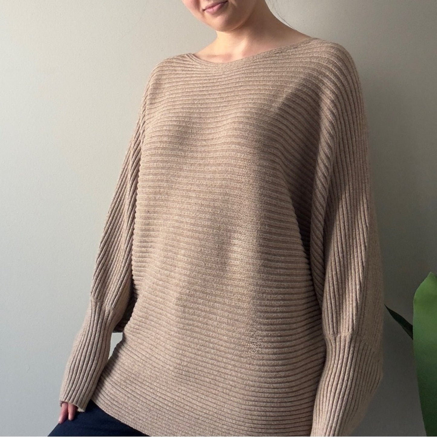 Anthropologie Beige Tan Ribbed Crew Sweater Batwing Long Sleeve Solid Autumn 2X