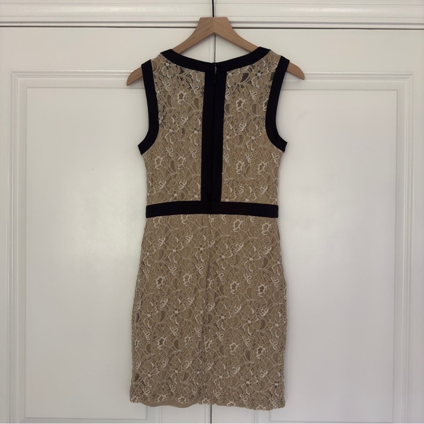 Max and Cleo Lace Mini Dress Sleeveless Tan Black Contrast Lined Zip Up Zipper 8