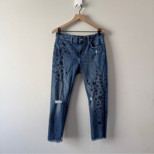 Pilcro and the Letterpress Anthropologie Sequin Embroidered Star-Patterned Jeans
