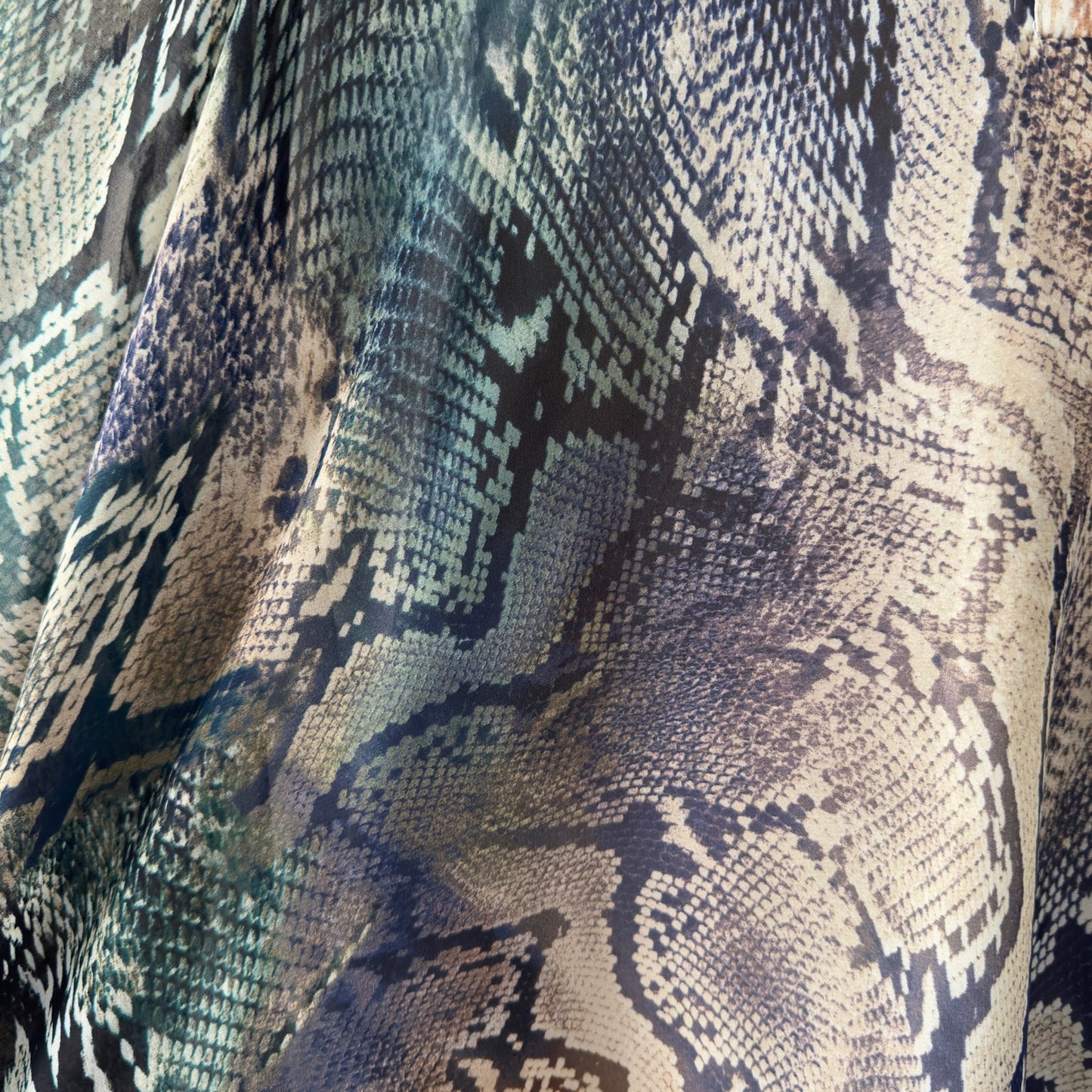 Show Me Your Mumu Snakeskin Print Long Sleeve Mini Dress V-Neck Button Lined XS