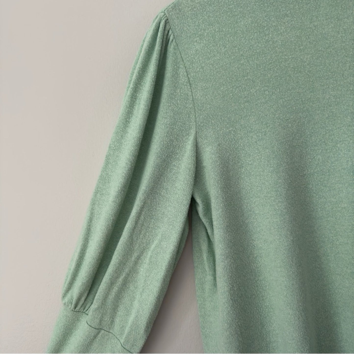 Anthropologie Soft Long Sleeve Turtleneck Green Stretch Spandex Cozy Winter Fall