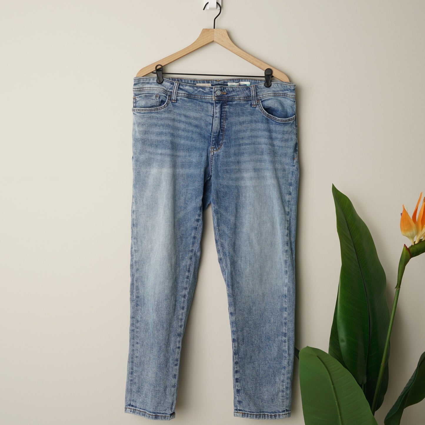 A+ by Anthropologie Pilcro Slim Boyfriend Crop Jeans Denim Zip Button Blue EUC