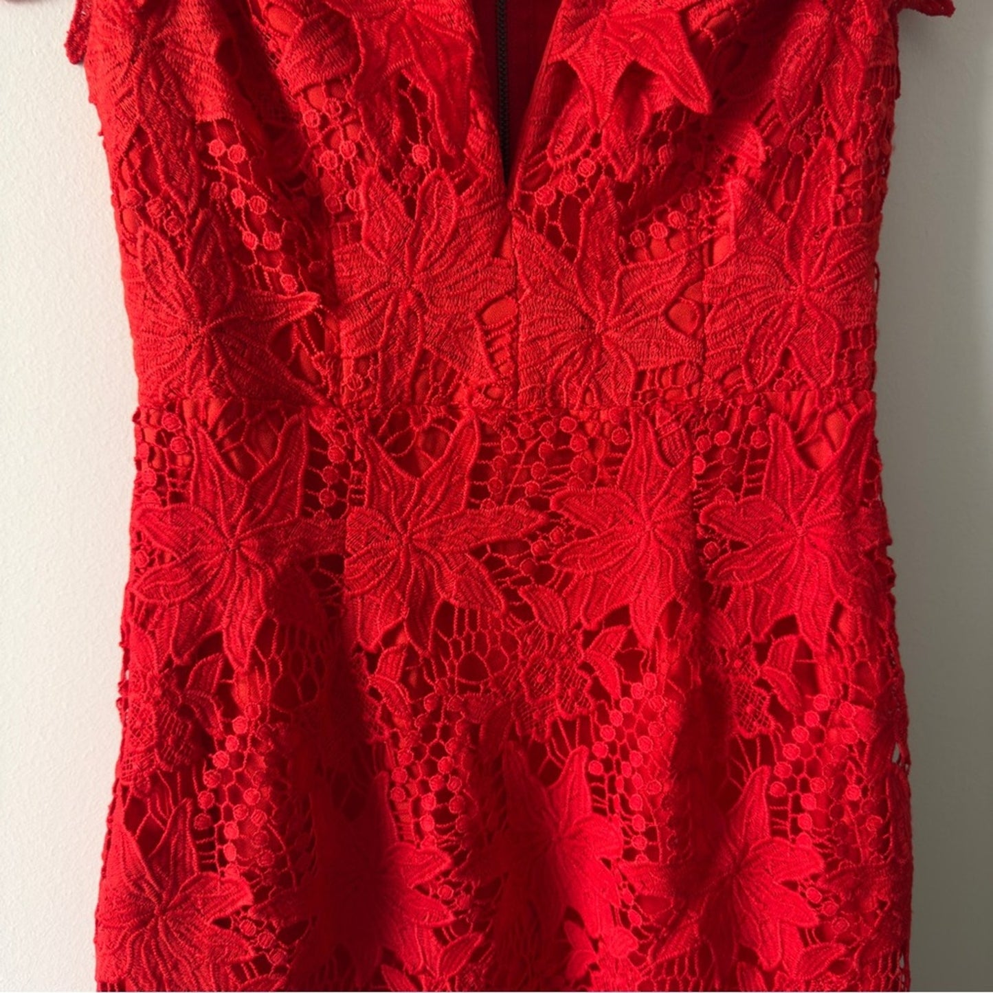 Revolve ASTR the Label Scarlet Lace Dress Off the Shoulder floral lined mini EUC